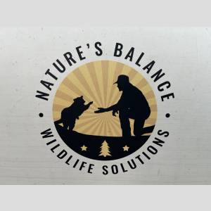 Company Name
