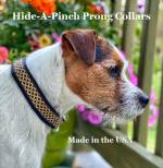 Wayside Kennel Gear